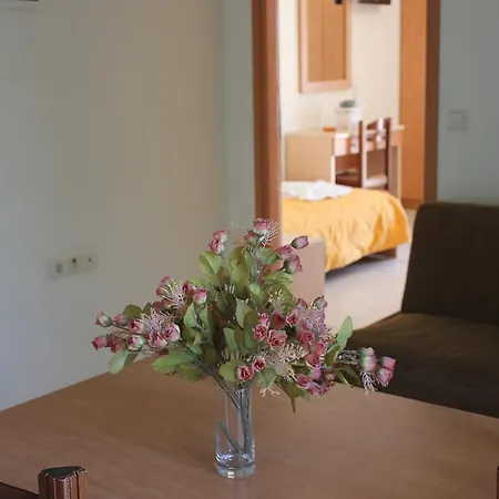 Virgin Mary Apartment *